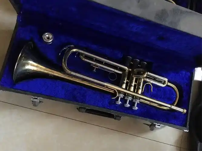 仓库处理品—管乐小号,圆号,长度,单簧管