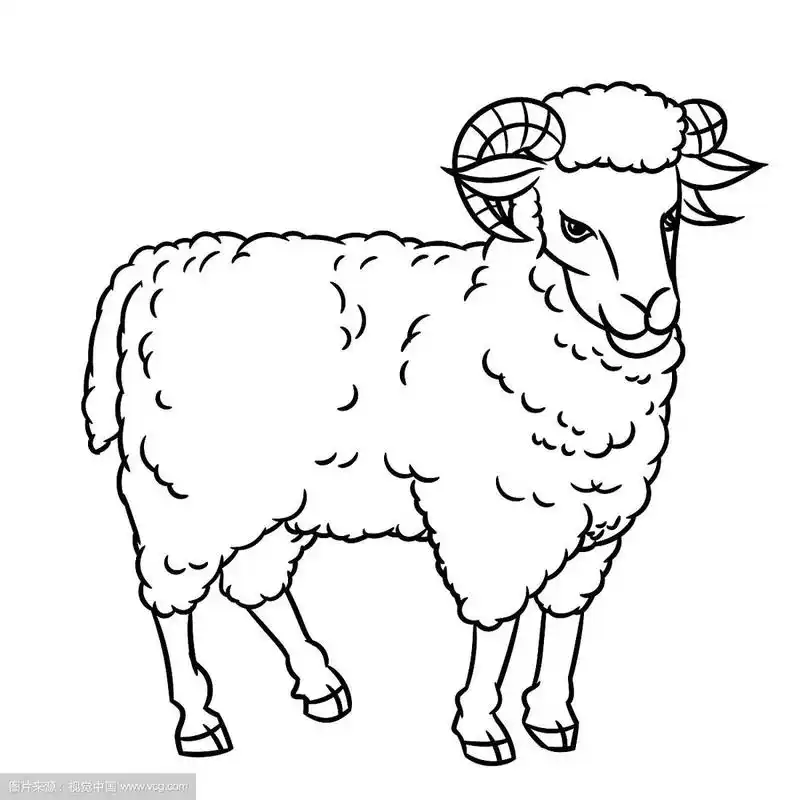 手绘羊矢量图