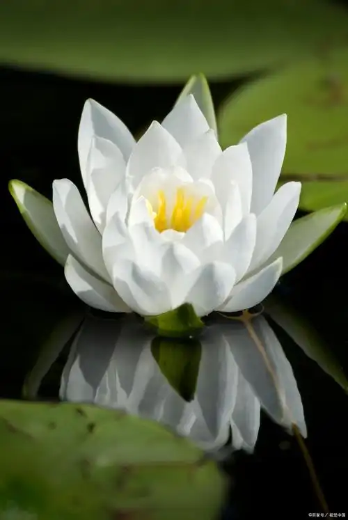 水生嫂的三重境界