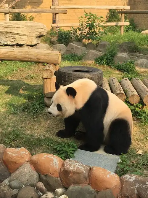 秋天里的动物——杭州野生动物园 - 美篇