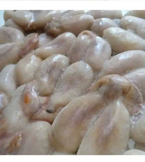 野生全淡大墨鱼蛋4斤1斤乌贼卵乌鱼蛋新鲜乌贼目鱼蛋大白蛋乌鱼蛋没盐