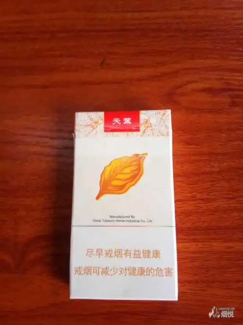 细支天叶