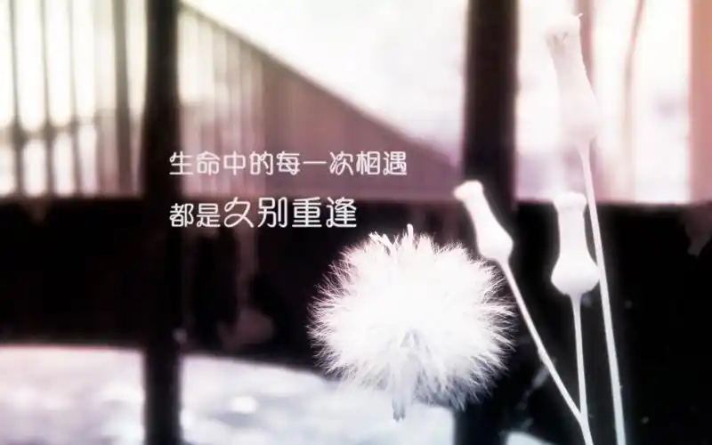 久别重逢手机锁屏壁纸