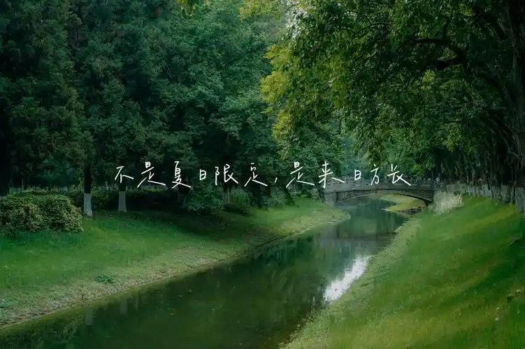 关于夏天的可爱短句浪漫文案