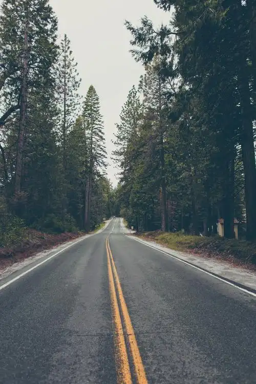 通向远方的公路图片 - 第2张