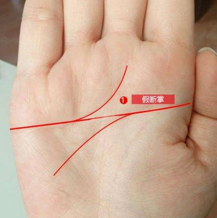 断掌的手相只有一种,就是智慧线和感情线重合在一起了