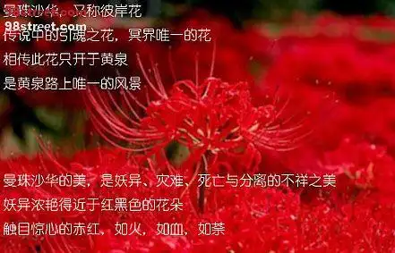 古代唯美彼岸花的诗句