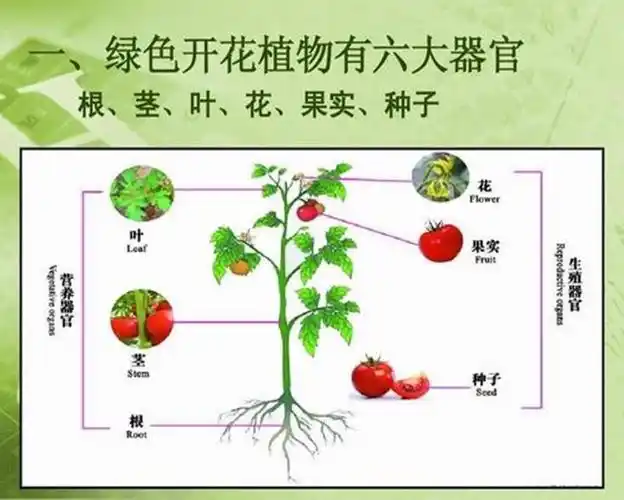 行知明珠二班线下教学第四周周总
