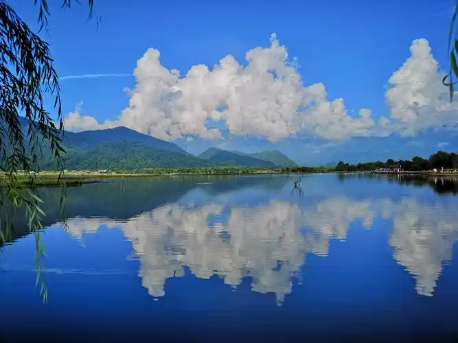 应是水墨画中景 沧海遗珠落人间一一一一8月9日上午的神农架大九湖