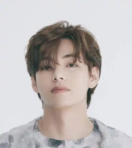 bts出镜,金泰亨毁容式泡面头全靠颜值撑,田柾国花臂文身抢镜_防弹