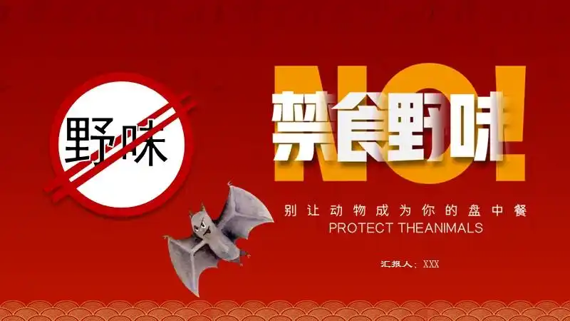 禁食野生动物主题班会ppt带具体参考内容pptx