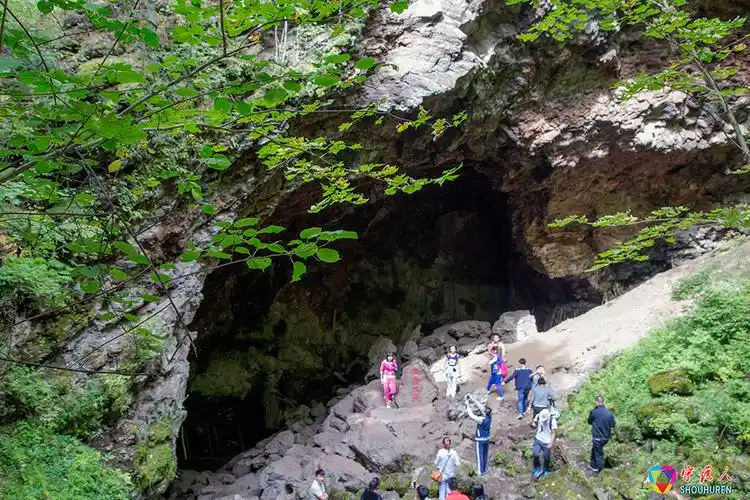 东北行(4)牡丹江:地下森林