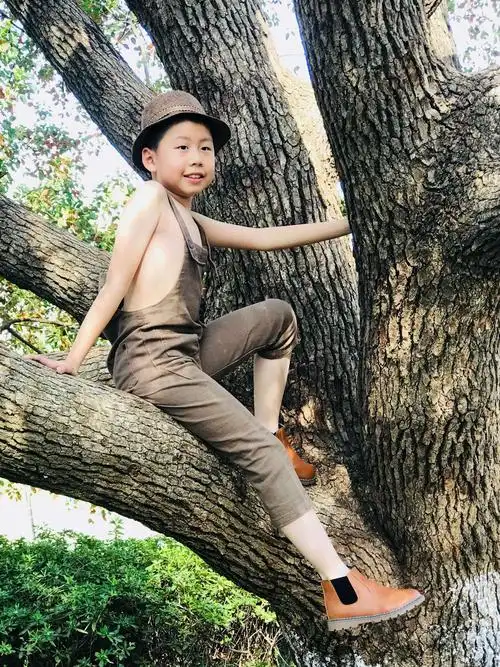 健康列车的美篇