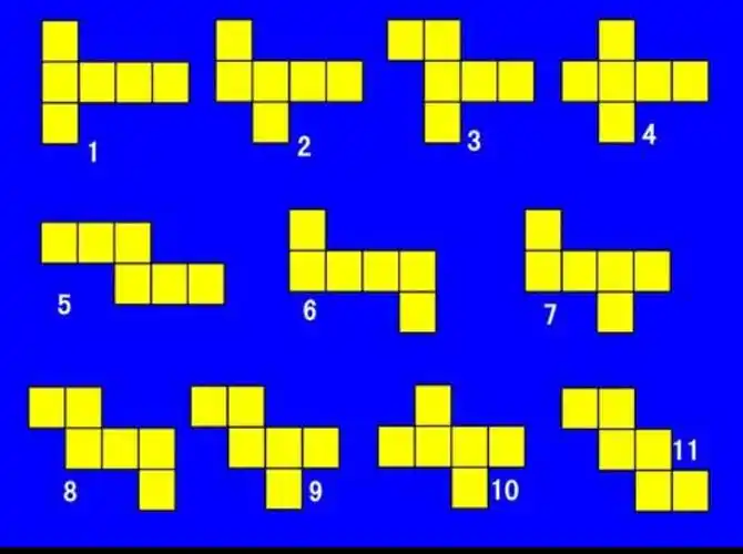 剪两个凌长为2厘米的正方体纸盒的展开图(接头处忽略不计),你有不同的