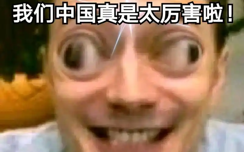 【伏拉夫鬼畜】建议改为:爱 国 教 育