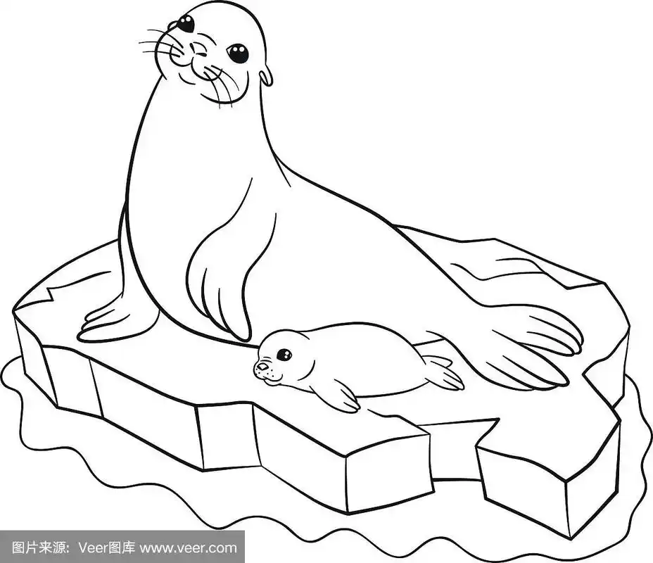 书页,可爱的,婴儿,海豹,小的