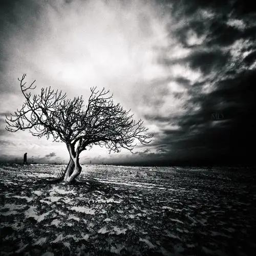 mustafa dedeolu 阴郁孤独的黑白摄影 (黑白 阴郁 编辑推荐 摄影 孤独