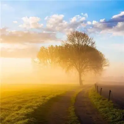 成熟男人微信头像风景大全 喜怒形于色是需要资本的,男生头像图片