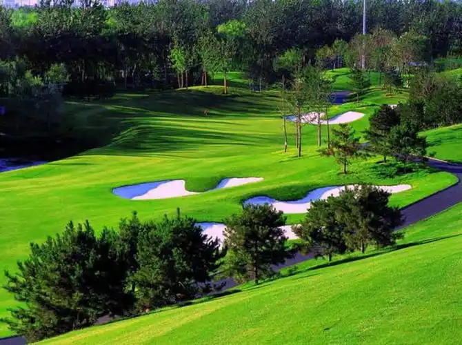 东方双鹰高尔夫俱乐部