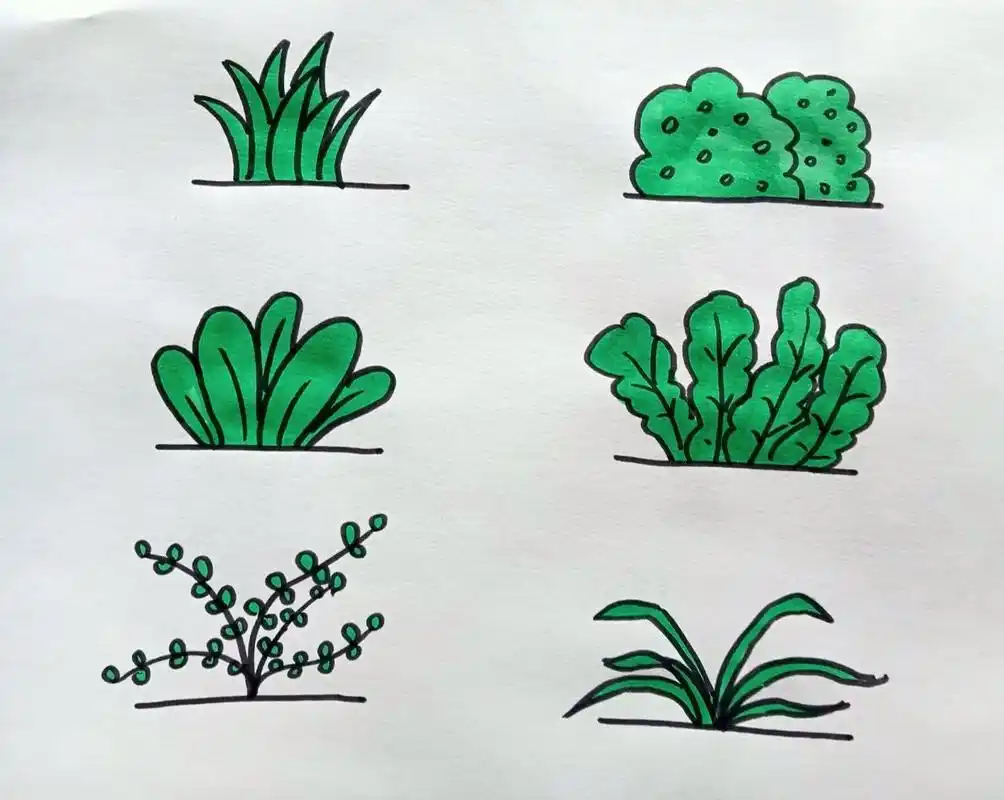 六种小草的简单画法 春天随处可见的小草,你有认真观察过它们的形状吗