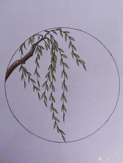 跟我一起画柳树
