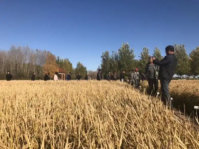 前哨农场信息港,前哨农场,黑龙江前哨农场信息港,建三江前哨农场信息