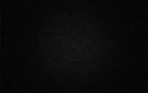 黑色词条图册_百度百科