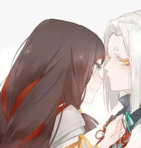 阴阳师黑童子白童子