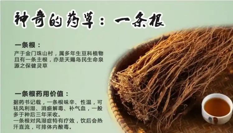 台湾原装进口~金门一条根 精油膏 家丞生计 80g