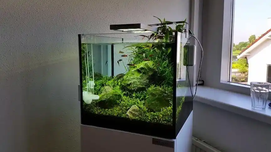 「草缸造景」办公室简约水族箱之二