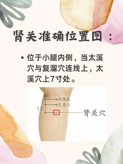 肾关准确位置图和作用你了解吗