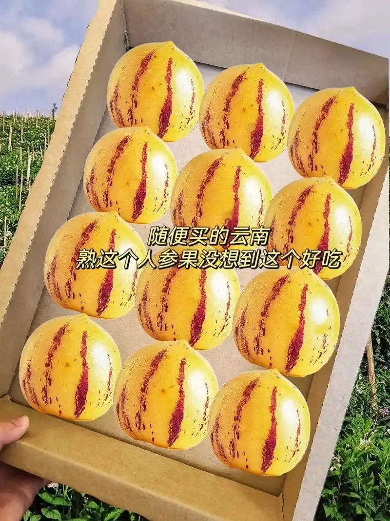 图文掘金计划 #大人孩子都爱吃 #人参果 天呢78! - 抖音