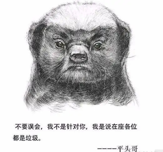 世态炎凉别太善良平头哥图片最近在抖音上特别火,很多玩家都喜欢用