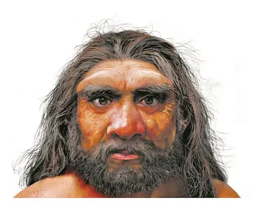 脑容量过千智商高 和现代人的直系祖先智人更亲