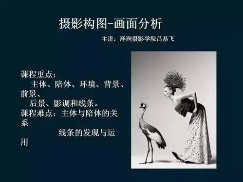 学摄影/摄影构图-画面的分析