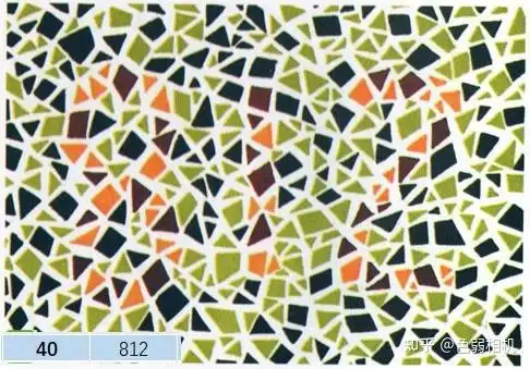 色盲检测图第五版驾考体检征兵专用