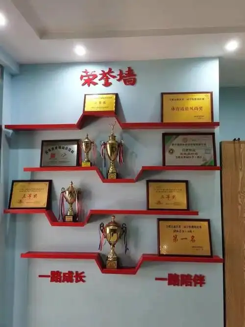 优束 荣誉展示柜奖杯奖牌证书办公室展柜奖牌收纳展示架摆台奖杯架