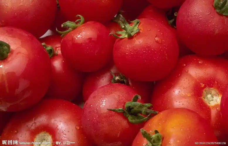 西红柿摄影图__蔬菜_生物世界_摄影图库_昵图网nipic.com