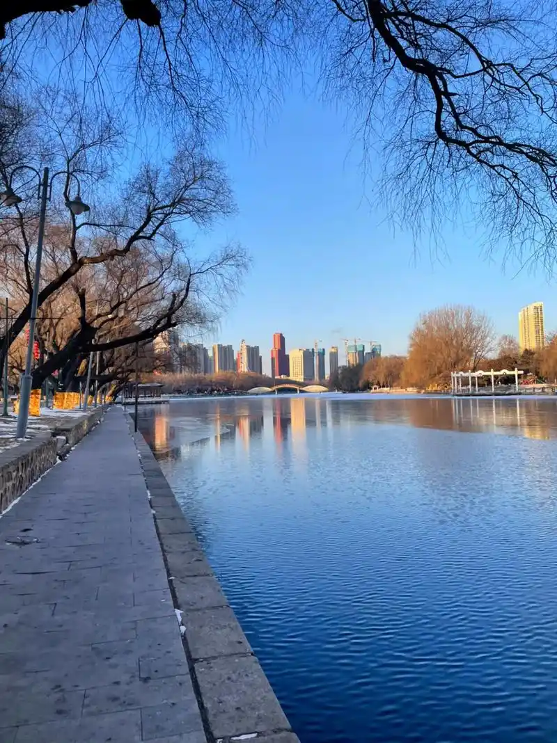 抖音美好生活攻略 沈阳南湖公园是以绿地,花草,树木,清水, - 抖音