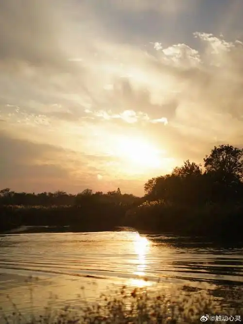 秋天最美的风景在西溪##微博手机影像年##100个旅行必备指南