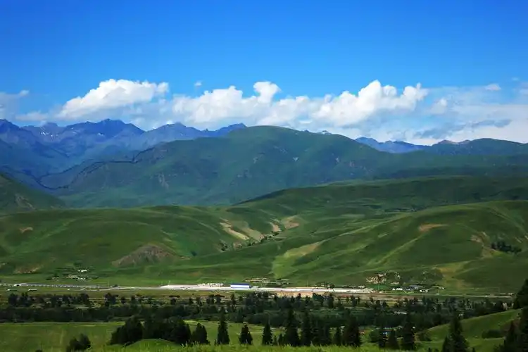 可可托海的牧羊人至真至纯的爱情美丽的那拉提