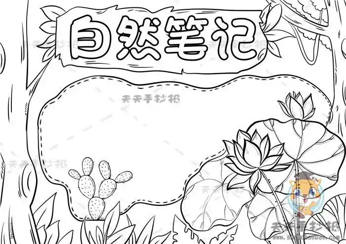 一步一步教你画自然笔记手抄报小学生怎么画简单的自然笔记手抄报