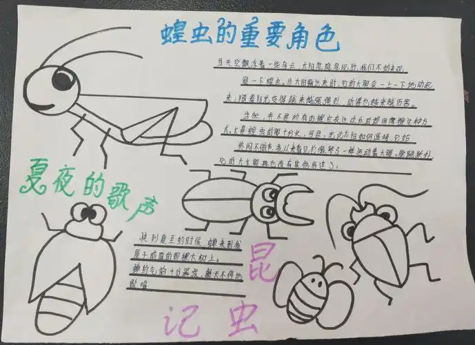 四种昆虫备忘录的手抄报昆虫记手抄报