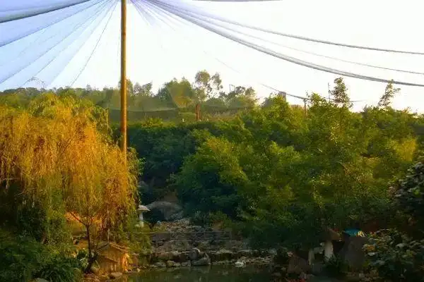 22年的福州鸟语林结束营业!再见了,几代人的童年!