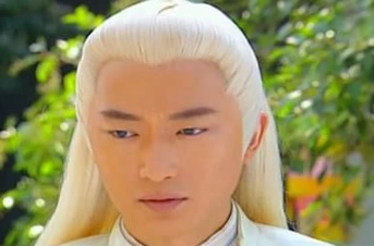 天剑群侠中阿卑罗王萧廷的简介