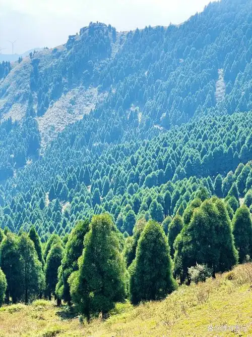 夜爬六五顶看日出看漫天繁星徒步广西版的那拉提高山草原