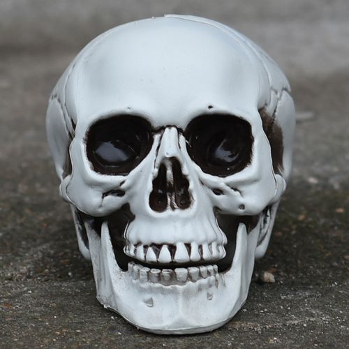万圣节道具酒吧鬼屋密室恐怖干尸骷髅头摆件仿真人骨模型吓人鬼头