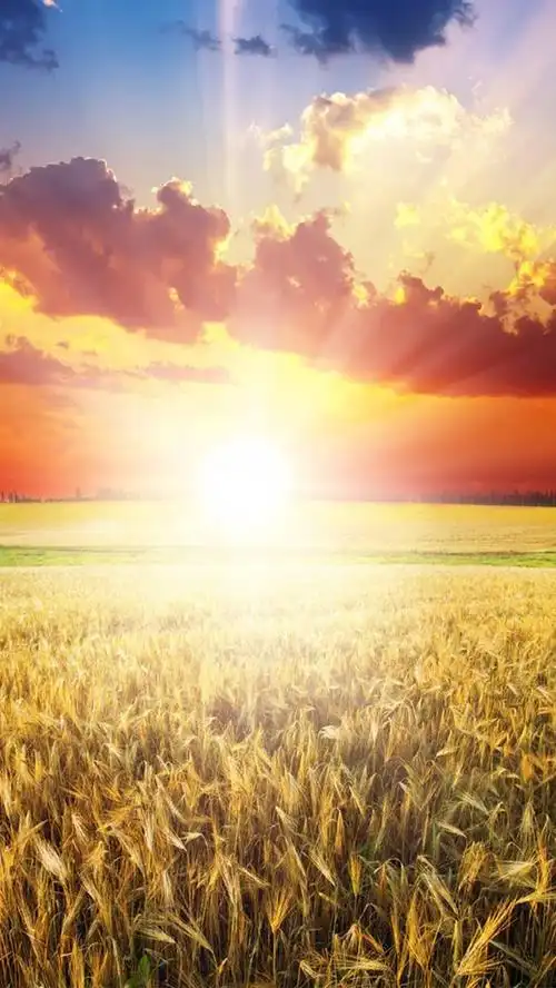 阳光明媚,风和日丽手机壁纸