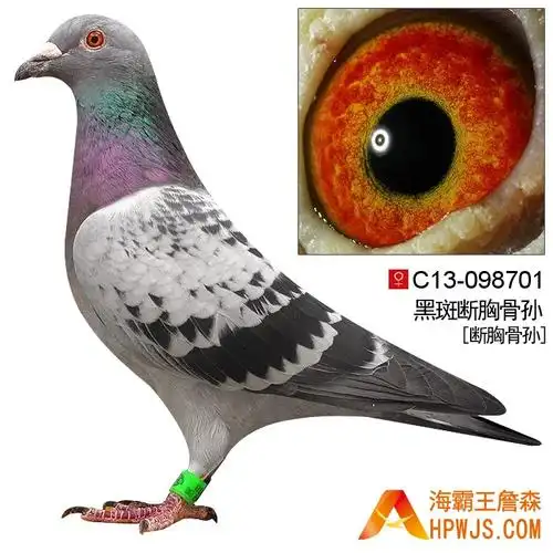 海霸王詹森研究中心