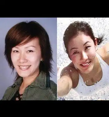 陈慧珊伏明霞张国荣与陈志朋梅婷范冰冰吴倩莲汤唯本站是提供个人知识